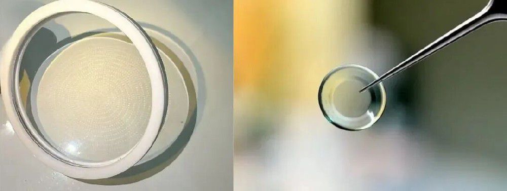 新学期视力告急？这些科学补救方法请收好！